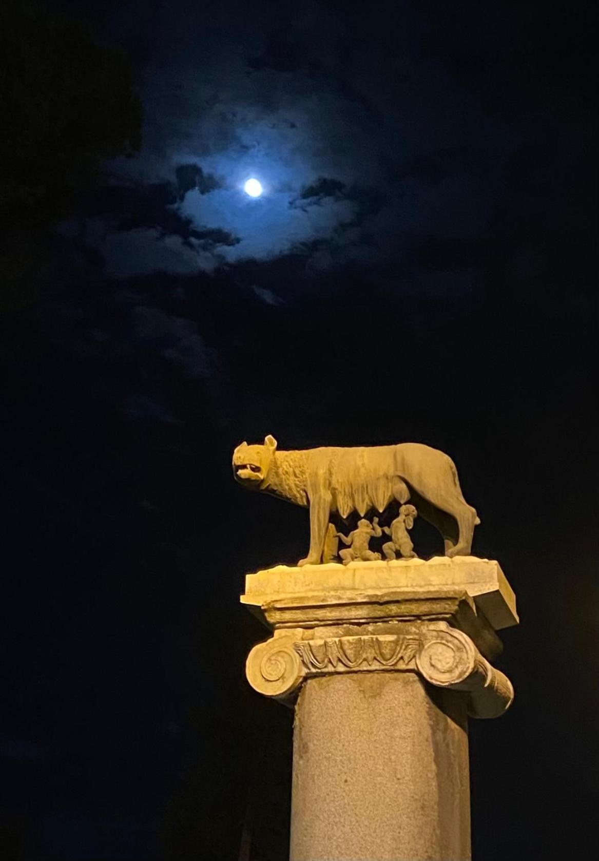 Domus Art Suites Merulana Rome Exterior photo